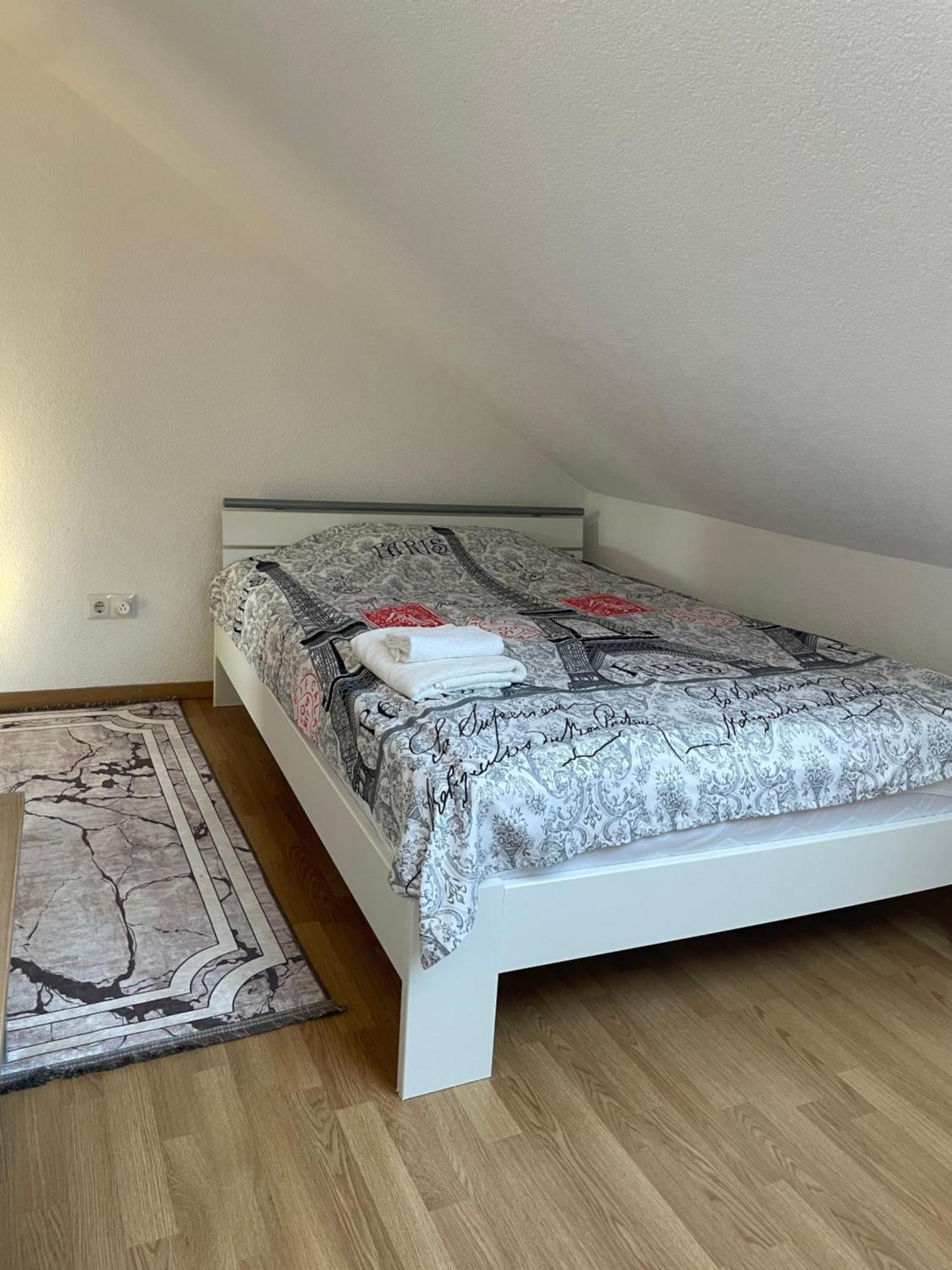 Stilvolle Wohnung Im Stadtzentrum Кайзерслаутерн Екстериор снимка